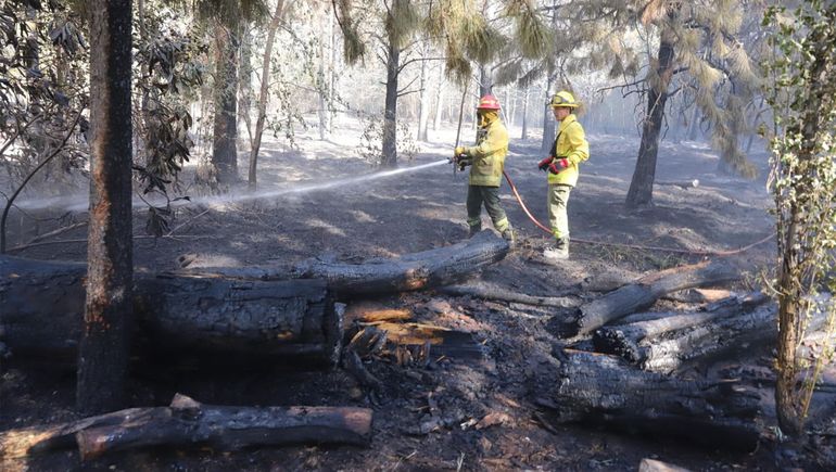 Plottier: se desató un gran incendio que afecta la zona ribereña