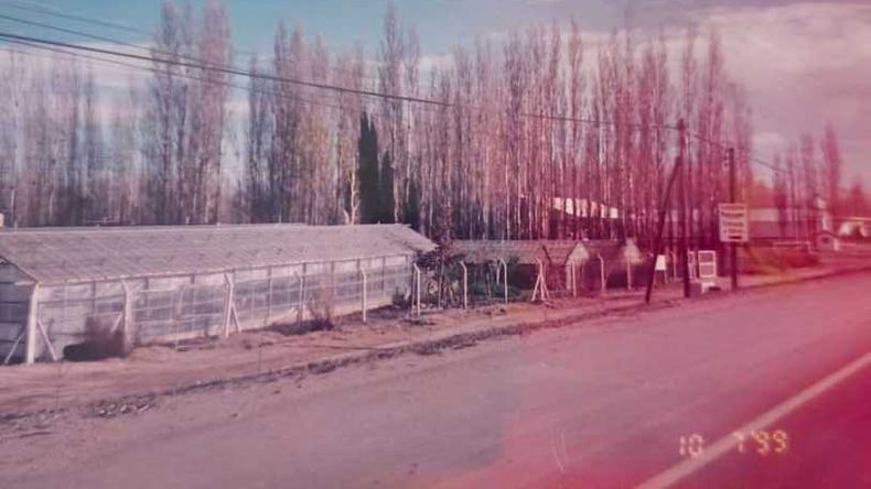 El cierre del vivero japonés contado con imágenes: cinco décadas de verde y memoria en Neuquén