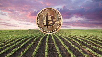 Argentina,-el-primer-país-del-mundo-en-vincular-las-criptomonedas-con-el-agronegocio.jpg