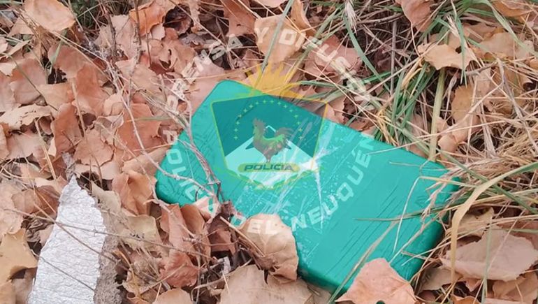 Quedaron imputados, pero libres tras tirar un ladrillo de cocaína al patio de una vecina
