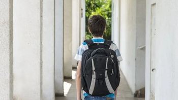 El conflicto judicial se inició en el año 2020, cuando el padre biológico había reclamado la tenencia. El conflicto judicial se inició en el año 2020, cuando el padre biológico había reclamado la tenencia.