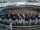 Los créditos se otorgaron a productores de Santa Fe, Buenos Aires, Córdoba y Entre Ríos. Foto: Secretaría de Agricultura