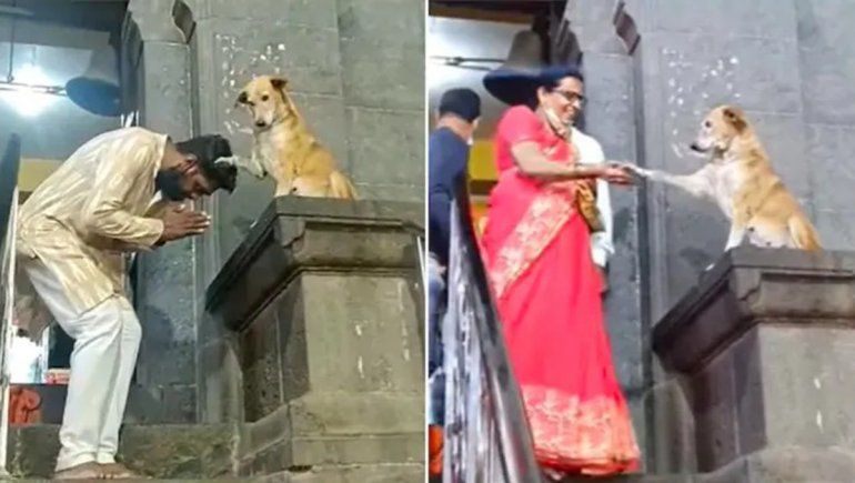 Es un perro que se viralizó en Facebook por bendecir a los humanos a las afueras de un templo