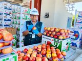 A principios de abril el Senasa de Perú freno las importaciones de fruta de Chile.