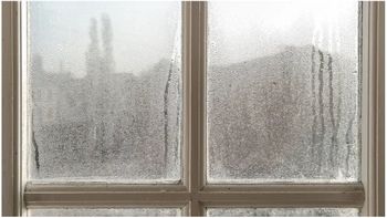 postales y recuerdos de un invierno remoto en neuquen