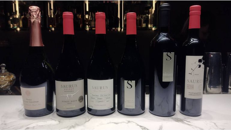 Bodega Familia Schroeder ha hecho punta con premios en la variedad Pinot Noir. Bodega Familia Schroeder ha hecho punta con premios en la variedad Pinot Noir.