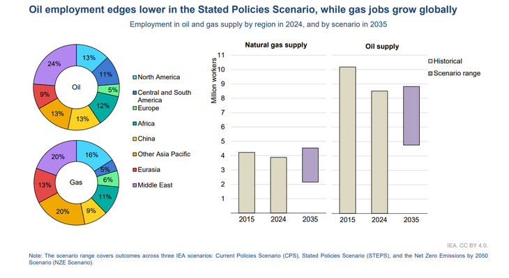 Reporte de empleo de la IEA.