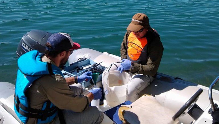 Un monitoreo dice que los ríos son aptos para bañarse
