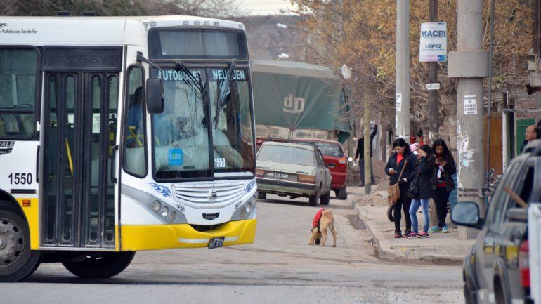 Los barrios del oeste son los más complicados para implementar el sistema de paradas flexibles.