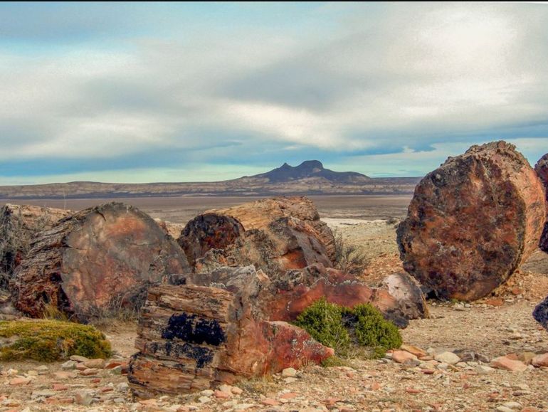 Los bosques petrificados de Jaramillo, otro de los puntos de avistamiento para disfrutar del eclipse en la Patagonia. 