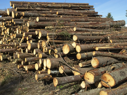 En las jornadas se ofrecerán capacitaciones. En las jornadas se ofrecerán capacitaciones.