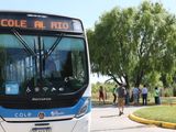 Cole al Río 2025: las líneas y los recorridos para que todos lleguen a los balnearios