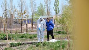 Femicidio en Centenario: hay dos hombres demorados