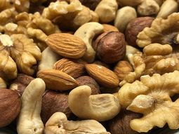 frutos secos: negociaciones para abrir el mercado chino frutos secos: negociaciones para abrir el mercado chino