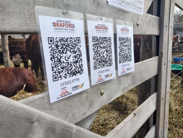 El QR que muestra la historia de la carne y el consumo consciente