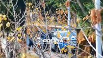 equipado con tijeras y guantes, agarraron a un ladron que estaba profugo equipado con tijeras y guantes, agarraron a un ladron que estaba profugo