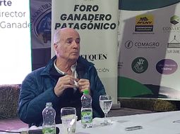 ignacio iriarte: el dolar deberia estar entre 1.300 y 1400 pesos