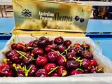 Las exportaciones de cerezas de Australia crecerán 20%