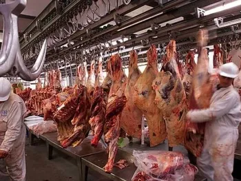 cayo el stock ganadero: se perdieron 1,3 millones de vacunos en un ano