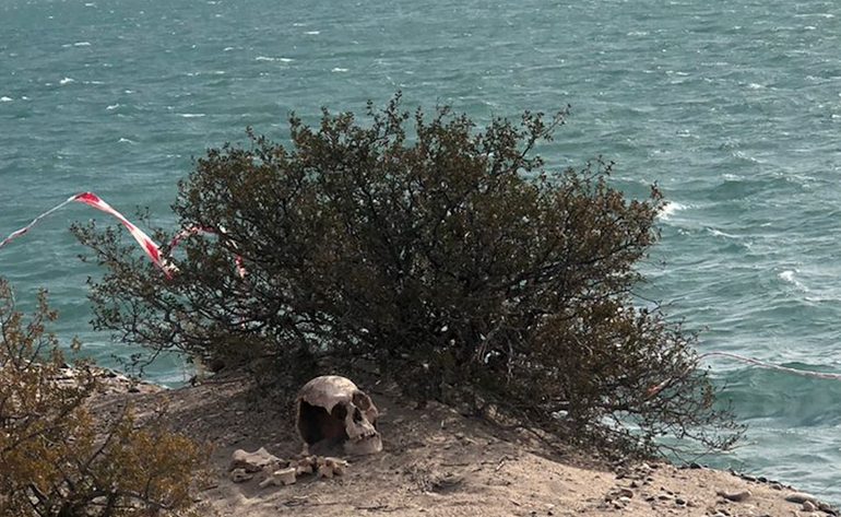Encontraron huesos y un cráneo humano en Arroyito