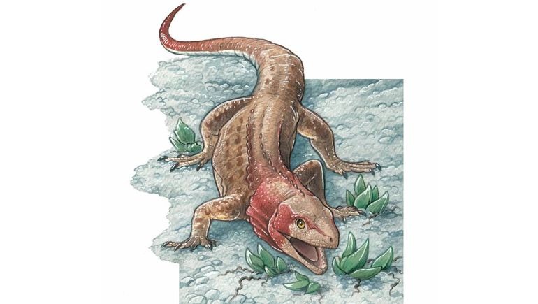El lagarto que vivió hace 70 millones de años.