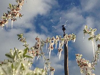 Alertan sobre temperaturas bajo 0.