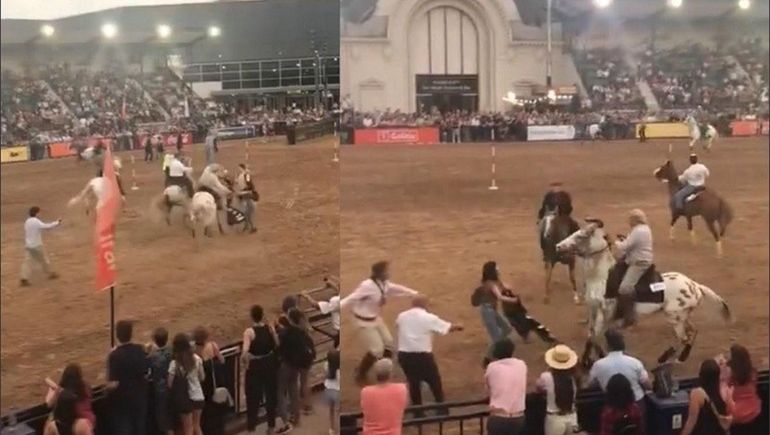 Jinetes de la Rural persiguen a veganos revoltosos