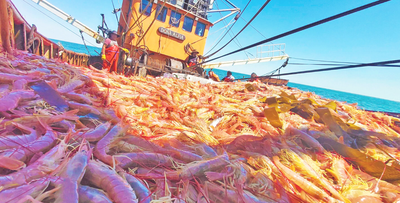 Pesca +58,2% ia en sep-2025: aportó 1,36 pp al crecimiento del EMAE y explicó 27% del total.