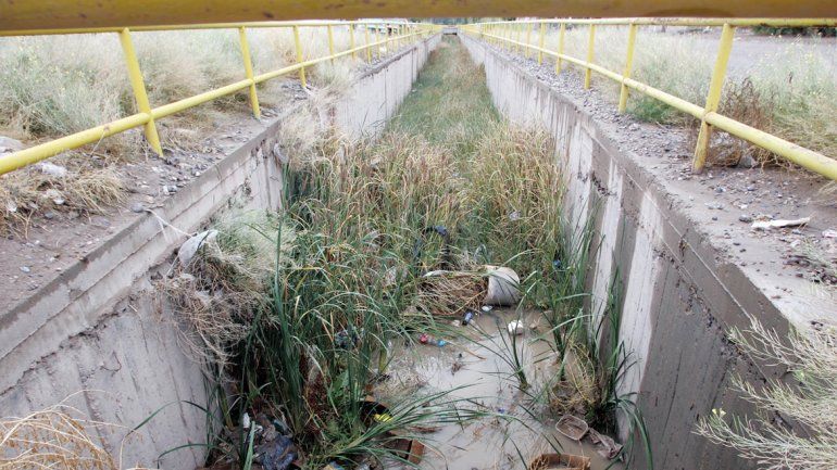 Las malezas crecen dentro de los canales que desagotan las lluvias.