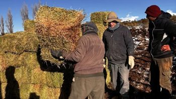Forraje contra la nieve: salió la asistencia para crianceros aislados de Neuquén | LM Neuquen Forraje contra la nieve: salió la asistencia para crianceros aislados de Neuquén