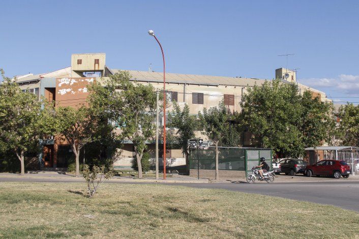 Los vecinos del barrio Bogotá están muy preocupados por la invasión de murciélagos que sufrieron este verano.