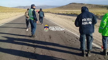 tragedia vuelco muerte zapala las lajas ruta 40