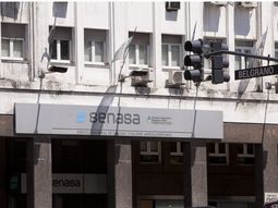 el senasa fue el organismo mas perjudicado por la motosierra de milei el senasa fue el organismo mas perjudicado por la motosierra de milei