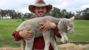 el extrano caso del cordero que nacio con cinco patas el extrano caso del cordero que nacio con cinco patas