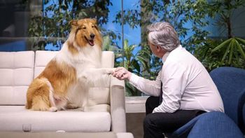 murio dylan, el perro del expresidente alberto fernandez: gracias por tanto amor murio dylan, el perro del expresidente alberto fernandez: gracias por tanto amor