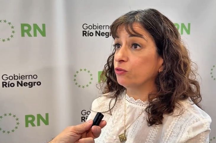 María del Carmen Rubio, directora de Evaluación de Proyectos de Energía de Río Negro, presentó el programa. María del Carmen Rubio, directora de Evaluación de Proyectos de Energía de Río Negro, presentó el programa.
