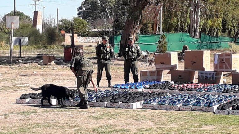 Secuestraron casi 650 pares de zapatillas truchas que venían a Neuquén