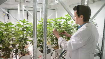 abrio el censo de empresas de bio y nanotecnologia en el pais abrio el censo de empresas de bio y nanotecnologia en el pais