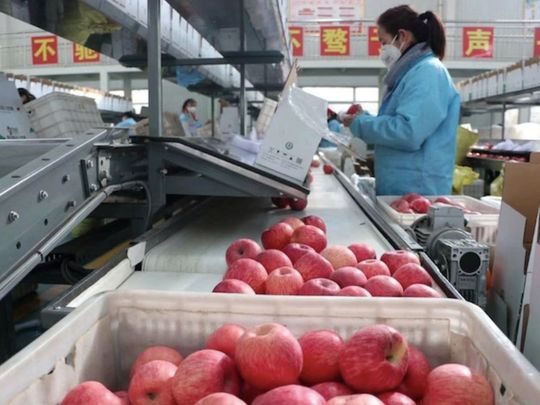 Tras una fuerte caída a mitad de año, las exportaciones chinas repuntaron con fuerza y marcaron un cierre récord en 2025.