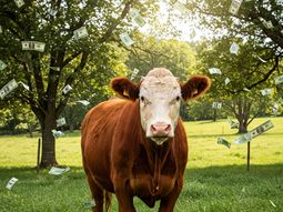 Parte de las nuevas deudas, indefectiblemente, están asociadas a los menores ingresos generados por las empresas durante la pasada campaña. Parte de las nuevas deudas, indefectiblemente, están asociadas a los menores ingresos generados por las empresas durante la pasada campaña.
