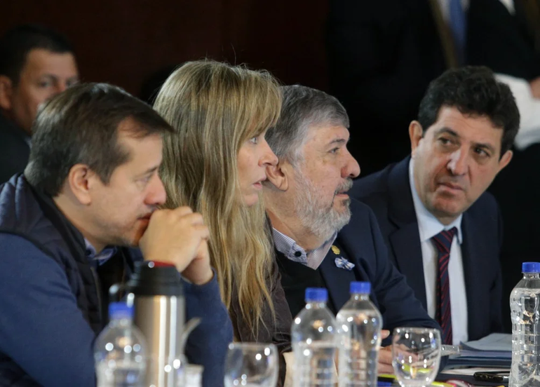 El senador formoseño José Mayans, durante el debate por la Ley Bases. Foto NA: Damian Dopacio El senador formoseño José Mayans, durante el debate por la Ley Bases. Foto NA: Damian Dopacio