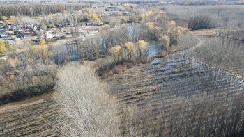 Chacareros se quejaron por la falta de previsiones ante la crecida del río Neuquén