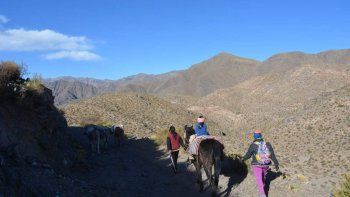 una maestra cabalgo 11 horas en mula para dar clases una maestra cabalgo 11 horas en mula para dar clases