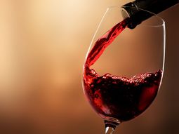 malbec renovable: una de las bodegas mas emblematicas del pais sera abastecida con energia solar malbec renovable: una de las bodegas mas emblematicas del pais sera abastecida con energia solar