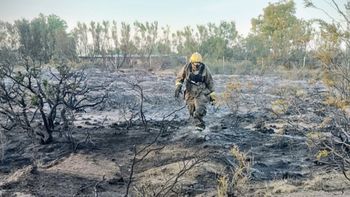 Bomberos trabajan en la zona de pastizales afectada por el incendio causado por un loro en Puerto Madryn.