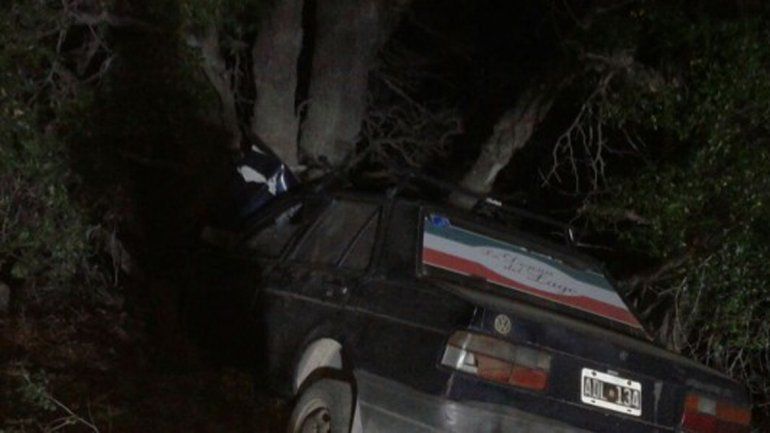Un buey suelto casi provoca una tragedia en la Ruta 40