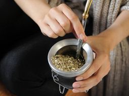 Durante el año pasado, el sector yerbatero comercializó 267 millones de kilos. Durante el año pasado, el sector yerbatero comercializó 267 millones de kilos.