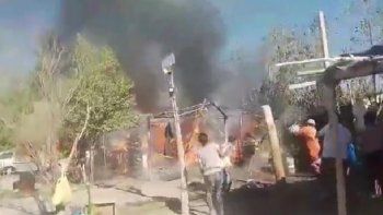 le quiso cantar el feliz cumple a su gatito con un encendedor y desato un dramatico incendio le quiso cantar el feliz cumple a su gatito con un encendedor y desato un dramatico incendio