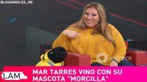 el fangote de dinero que necesita mar tarres para cuidar a su perrita con diabetes el fangote de dinero que necesita mar tarres para cuidar a su perrita con diabetes