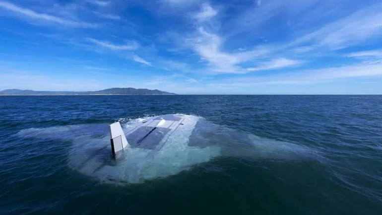 Manta raya